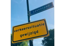 Sommige studies beginnen met een overzicht van theorieën, modellen en begrippen.
