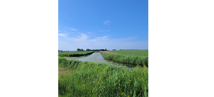 Want gratis geld bestaat zelden. Zelfs niet met kunstmatige intelligentie.